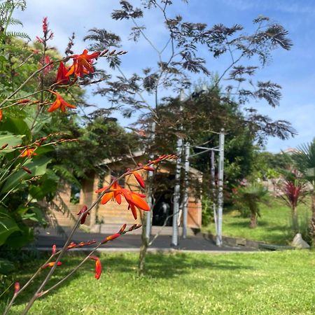 בידאר La Wodapalousa, Surf & Crossfit Guesthouse, 800M From Beach מראה חיצוני תמונה